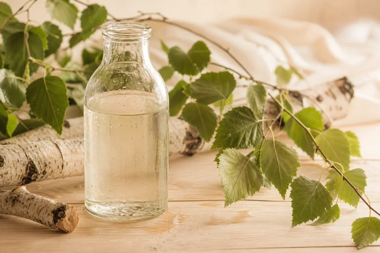 Bienfait de la sève de bouleau fraîche en bouteille pour cure détox