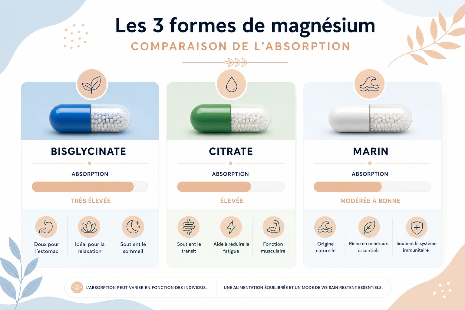 Comparatif de biodisponibilité entre magnésium marin, bisglycinate et citrate