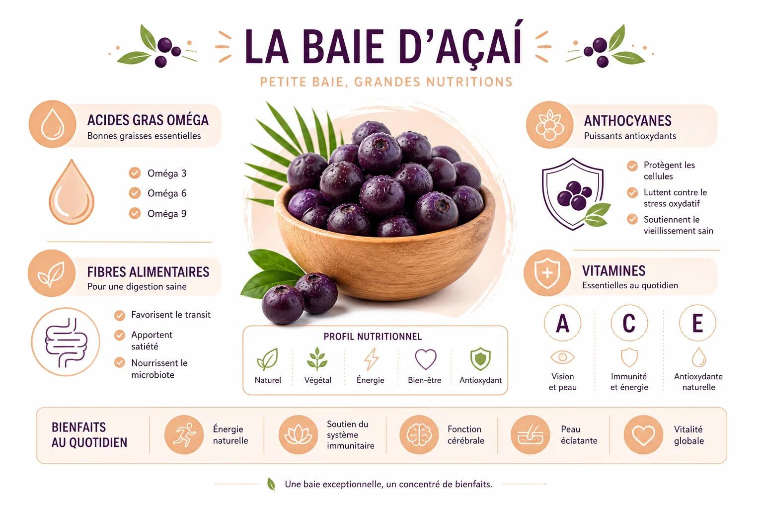 Infographie composition nutritionnelle de la baie d'acai avec antioxydants et oméga